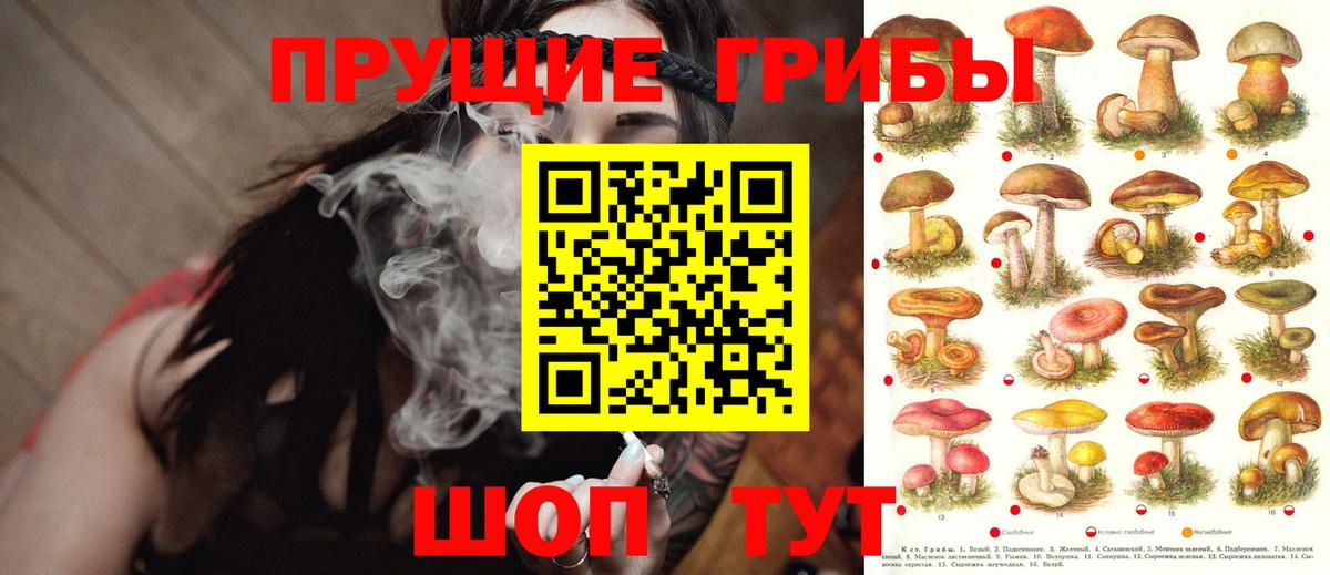 Галлюциногенные грибы Cubensis  Вход с VPN  Набережные Челны  Псилоцибиновые грибы MAGIC MUSHROOMS 